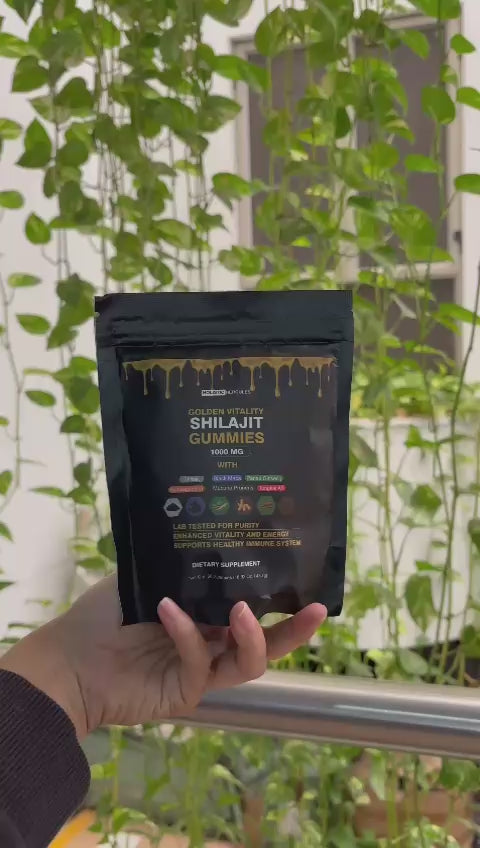 HOLISTIC HERCULES SHILAJIT 60ᵍᵘᵐᵐⁱᵉˢ